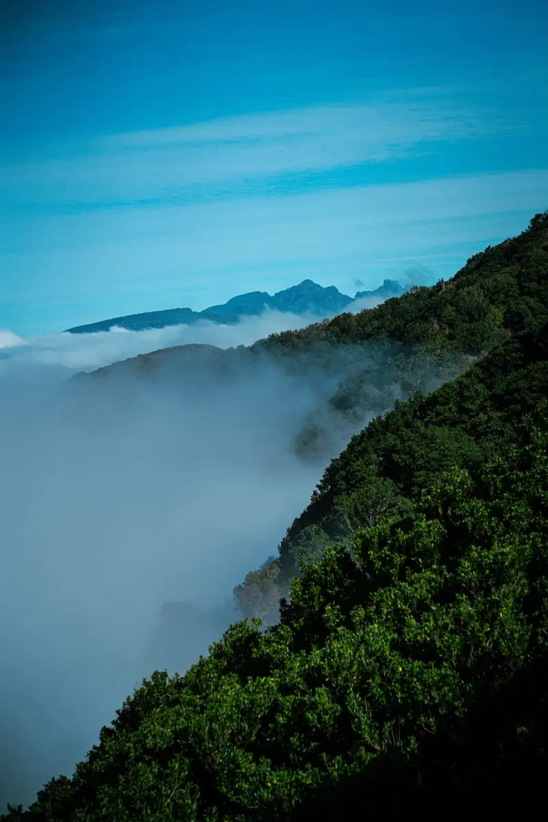 Above the clouds
