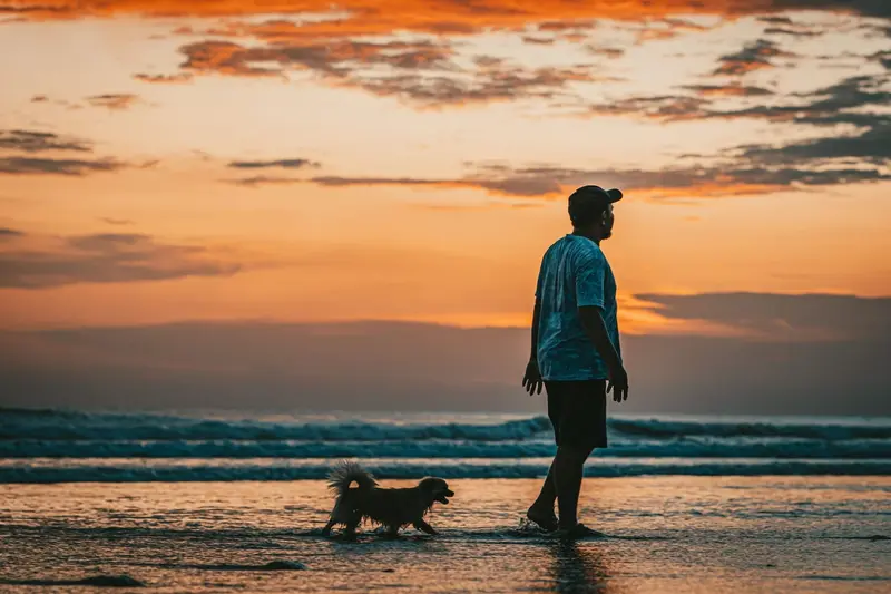beach walk