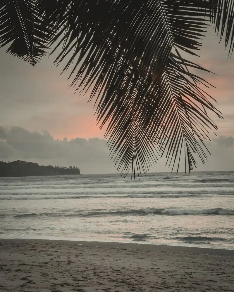 colours of phuket 2