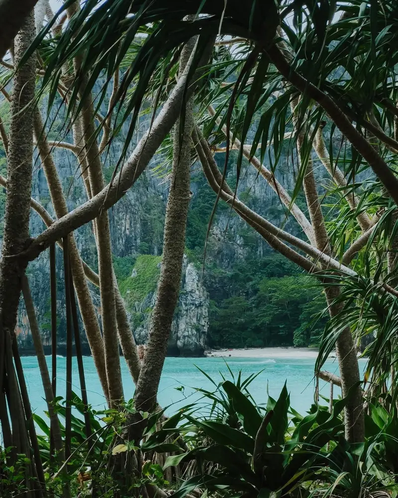 colours of phuket 5