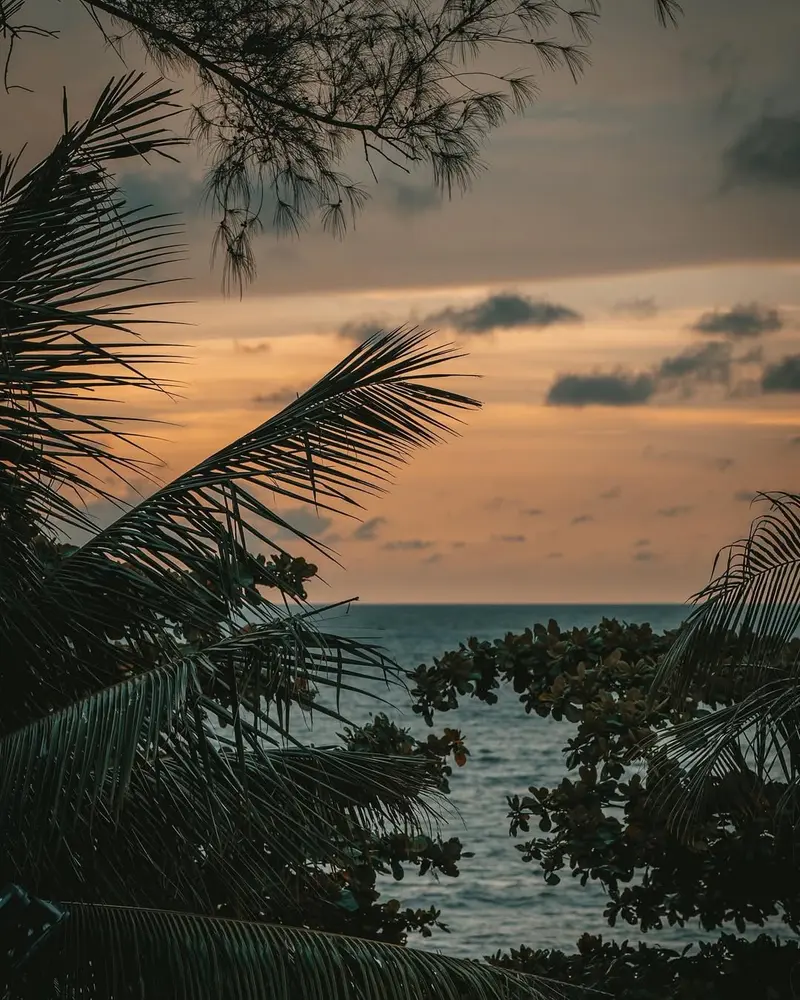 colours of phuket 6