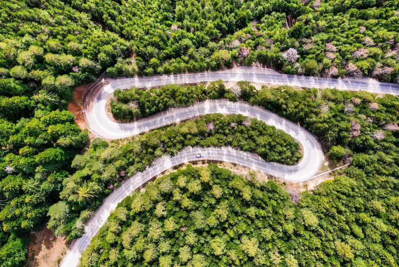 Curves