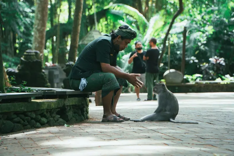 Just chatting