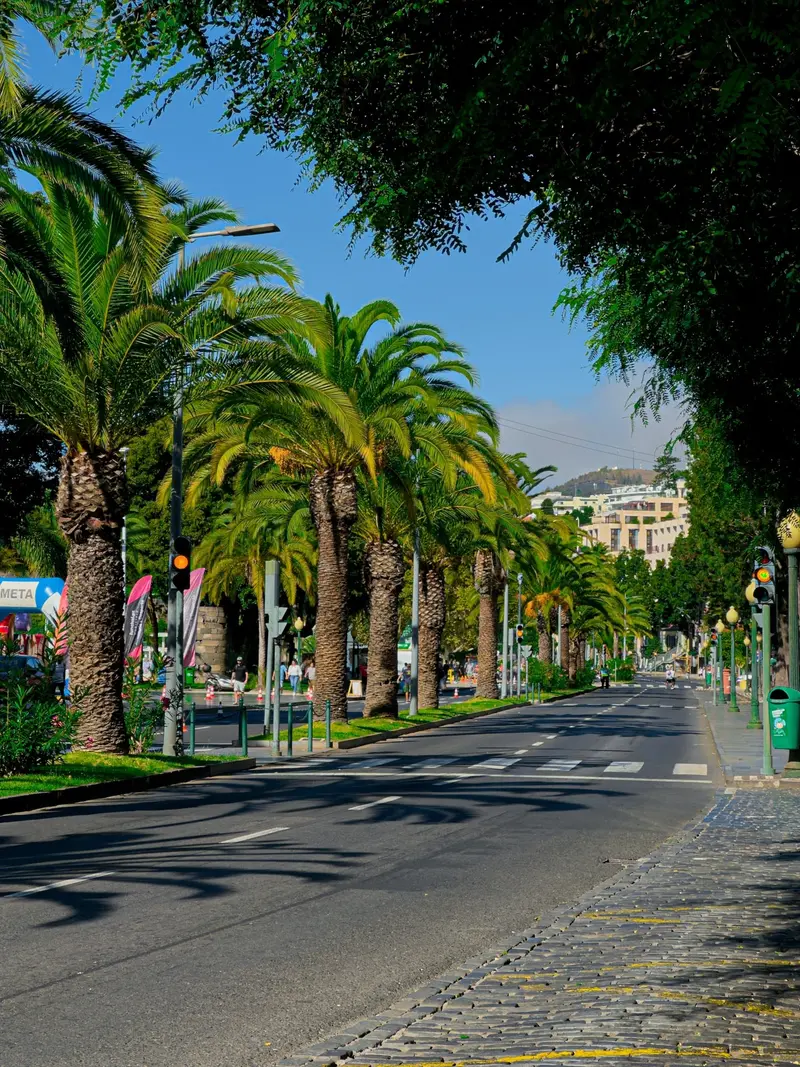 madeira island 1