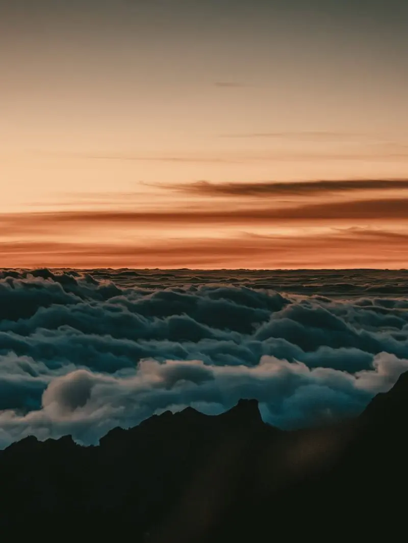 madeira wonders pt1 6