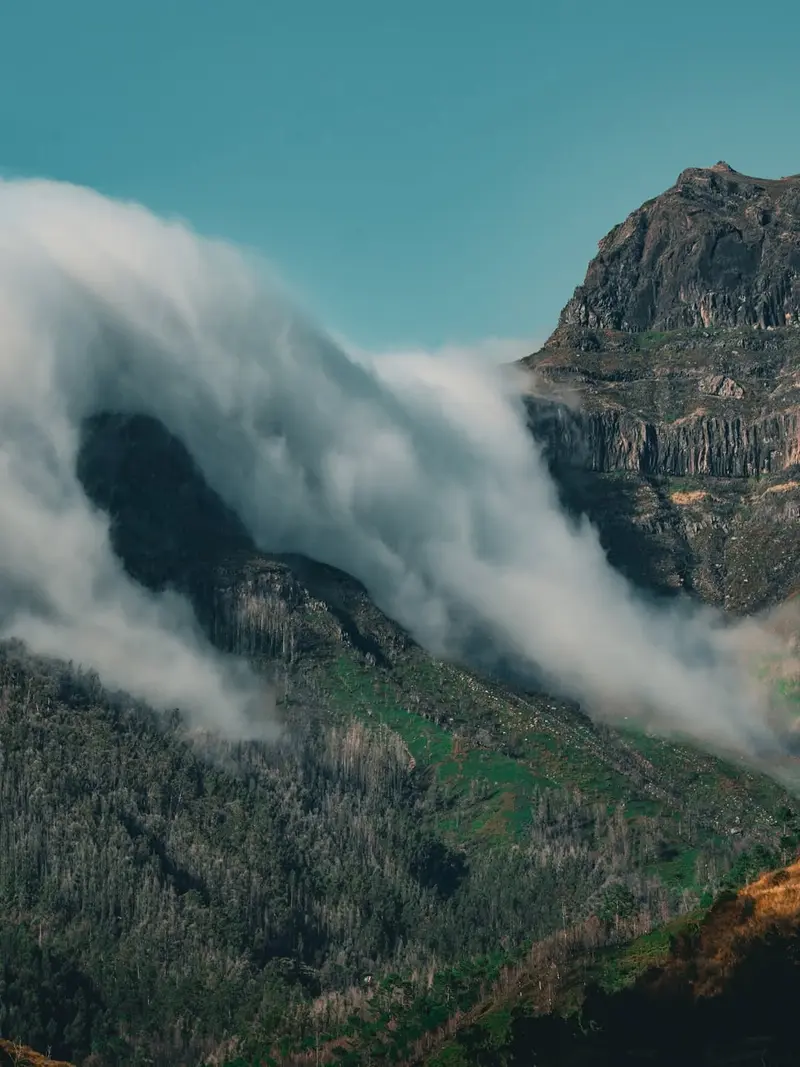 madeira wonders pt2 1