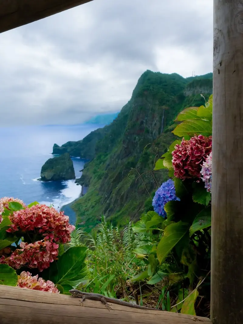 madeira wonders pt2 4