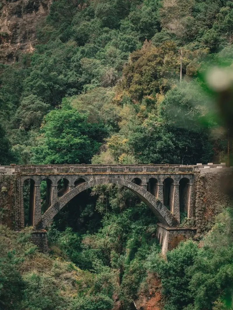 madeira wonders pt2 5