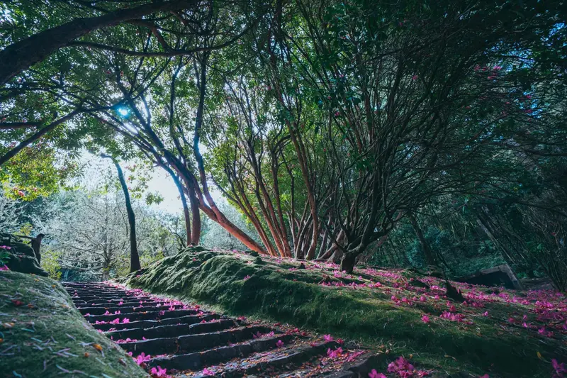 Stairway to heaven