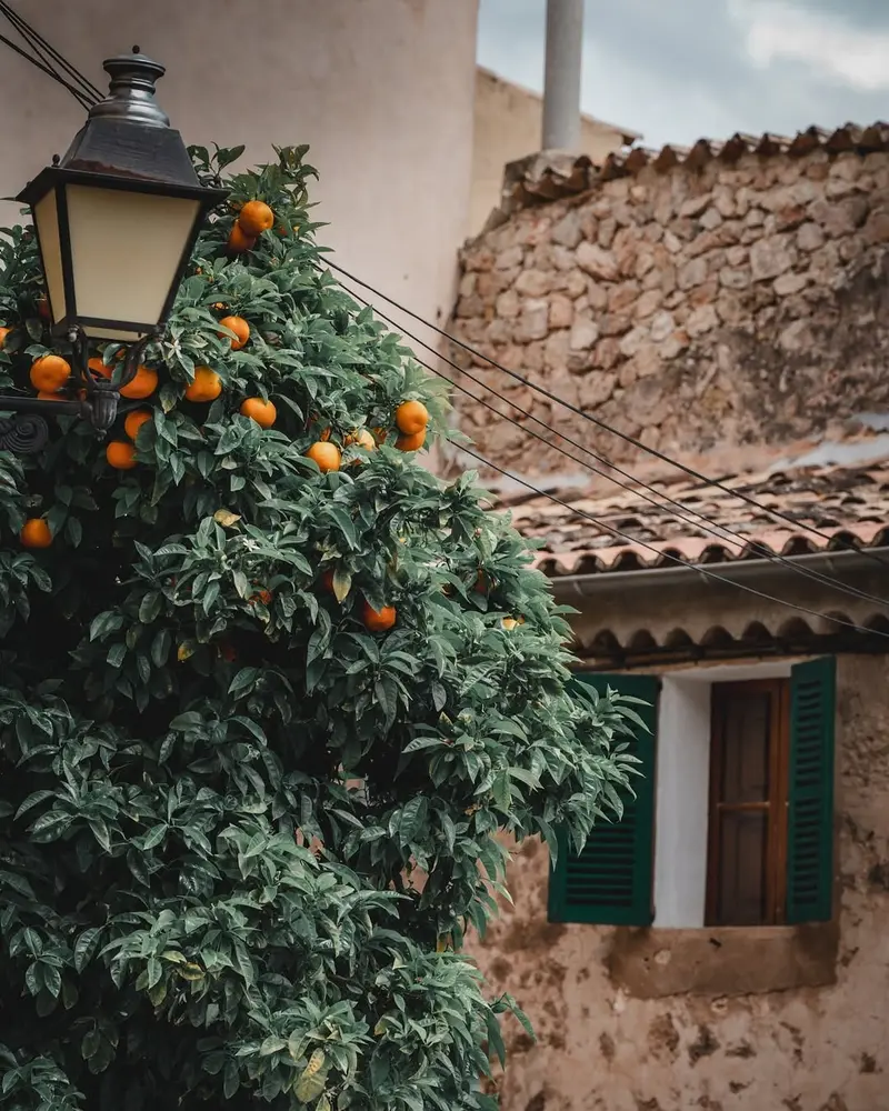 streets of valdemossa